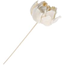 Vaguelly Fragrance Diffuser Flower Artificial Aromatherapy Flower Accessory for Home Peony Design for Creating Soothing Atmosphere and Enhancing Interiors