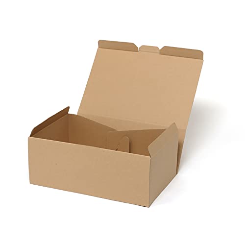 �y�P�[�X�̔��zHEIKO �� �i�`�������{�b�N�X ECO�EZ-6 ���n 006204060 1�P�[�X(10����×5�� ���v50��)