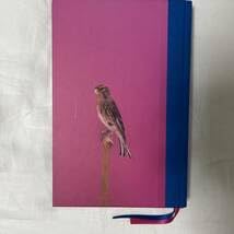 【美品】Luke Stephenson 作品集【希少本】 美品】Luke Stephenson 作品集【希少本】