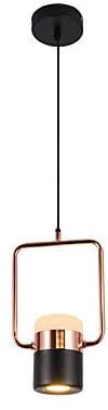 Mini Colgante Light Downlight ajustable de metal pintado para techo