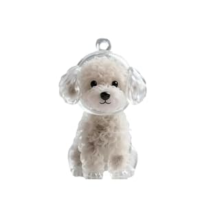 Dog Fur Keepsake Keyring: Pet Fur keepsake Keyring, Transparent Dog Hair Keychain, Pup Hairs Memorial Keychain, Pet Memorial Storage Box, Gift for Pet Lovers