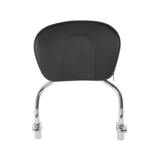 Dossier moto amovible avec support lombaire ergonomique pour FLRT