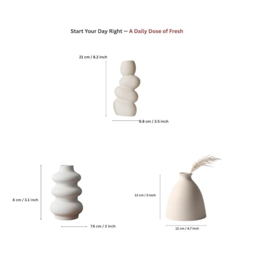 Image of Ceramic Vase Set of 3 | Nordic Minimalist Bubble & Bottle Design Decorative Flower Vases | Matte White Home Decor for Living Room, Table, Shelf, Office | Pampas & Dried Flower Vase