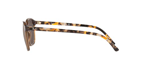 Ray-Ban RB2193F Leonard Low Bridge Fit Square Sunglasses4