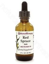Gemmotherapy - Red Spruce, Buds - 2oz