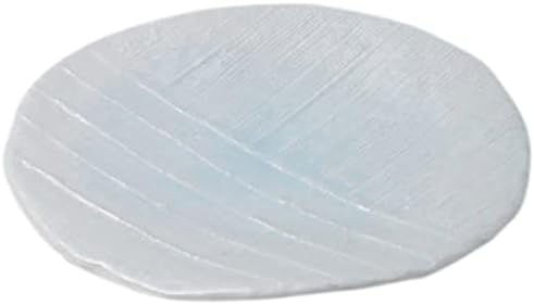 せともの本舗 Set of 10 Round Plates (Medium) Celadon Pizza Round Plate (Large) 10 x 1.1 inches (25.7 x 2.7 cm), Japanese Tableware, Restaurant, Inn, Commercial Use