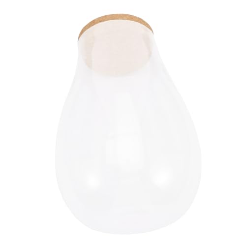 TOYANDONA Botella Eco Musgo Plantas de Interior terrario de Tarro de Plantas Tarro de terrario Botella Paisaje Mini Botella de ecosistema contenedor de terrario Vidrio