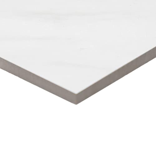 Daltile PT218HEX1P2 Perpetuo 8 Inch X 8 Inch Hexagon Porcelain Marble Look Wall & Floor Tile In Matte Brilliant White thumb #4