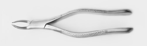 Dental Extracting Forceps #69