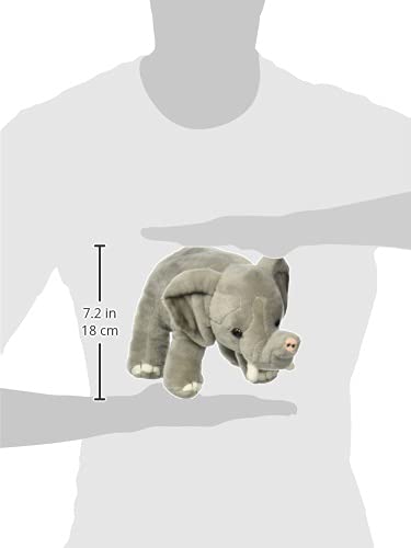 ぞうのぬいぐるみ　世界に10頭？ ぞうのぬいぐるみ世界に10頭？