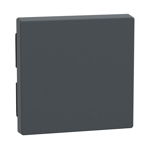 Schneider Electric Merten Wippe für Wechselschalter, Kreuzschalter, Taster-Einsatz, System M, anthrazit, Artikelnummer 433114