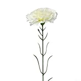 Artificial Carnation Flower, 8 cm Silk Bouquet for Mother's Day, Basket Arrangement with 5-Stems, Home & Office Decor(Creamy white)