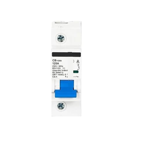 Disjoncteur miniature 1P 125A avec double compatibilité tension DC AC