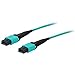 Addon - Network Upgrades 3M Fiber Mpo/Mpo M/M Om4 3M Fiber Mpo/Mpo M/M Om4 3M