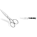 3 Claveles Tijeras Cocina Multiusos, Acero Inoxidable, Brillo, 20 cm + Cuchillo, Negro, 10 cm