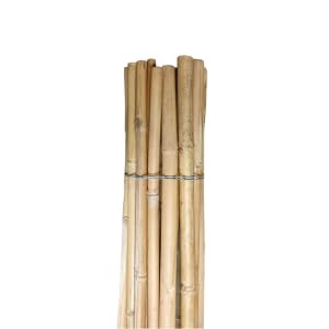 Pag Canne di bamboo ⌀ 24/26 mm Altezza 3000 mm | Tutori per Orto, Giardino e Arredo | Sostegno per Ortaggi e Piante rampicanti | 10 pezzi