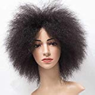 Amazon Com 6inch Afro Kinky Curly Short Synthetic Wigs For Men