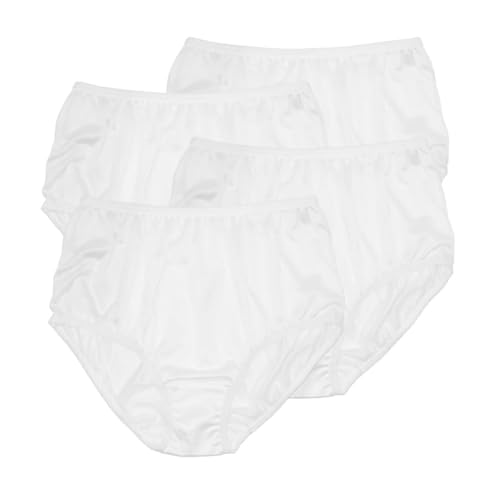 Image of Teri Women's 331 Plain Jane Classic Nylon Silky-Smooth Lightweight Breathable Full Coverage Brief Panty - 4 Pack