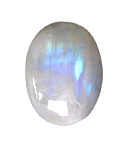 F肳ꂽMH15.25JbgA+iVRC{[[Xg[[XWFXg[fB[XƃYp-B0BZDLQWMRNAMZ