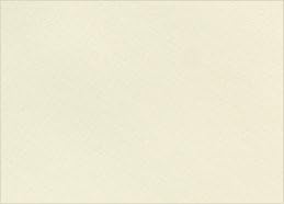 50X A4 ivory cards 240gsm p19