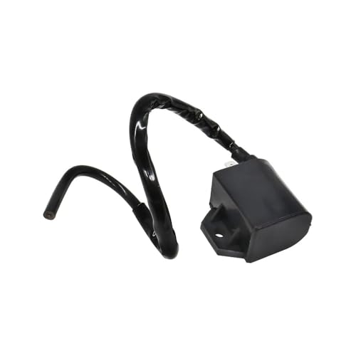 Bobine d'allumage pour VTT 300 4x4 et 3x4 de 1998 à 2005