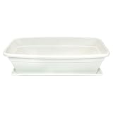  Tradineur - Jardinera Eva de plástico con Plato Adán 20 litros. Macetero, Maceta para Plantas y Flores Rectangular de plástico con Agujeros de Drenaje (50 cm, Blanco)