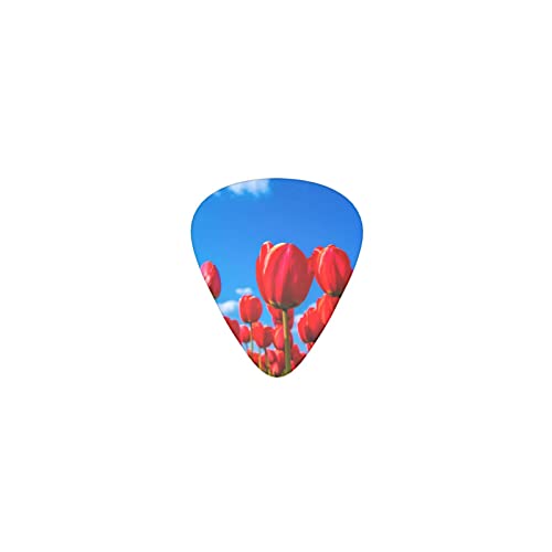 c̐Ԃ`[bv fUCM^[sbN guitar pick eBAhbv^ GLM^[/AR[XeBbNM^[/NVbNM^[/x[X̗KɍœK12Zbg