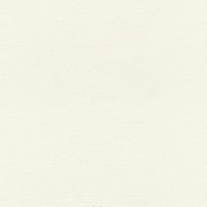Rasch behang vliesbehang (universeel) wit 10,05 m x 0,53 m Claas 531404 behang