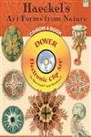 Haeckel's Art Forms from Nature: 608 Permission-Free Designs in Color and Black and White
