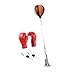 YIJU Boxing Reflection Ball Target for Kids Adults Equipment Indoor Punching Speed Bag Boxing Punching Bag for Workout Exercise, Style A