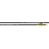 Easton Sonic 6.0 Match Grade Arrows