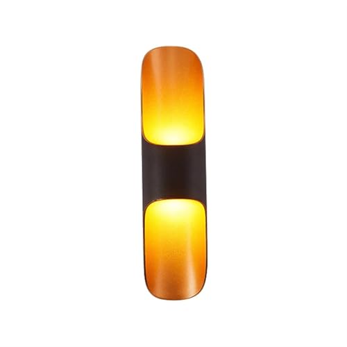 Luminaire extérieur aluminium haut de gamme noir et or étanche IP55 10W