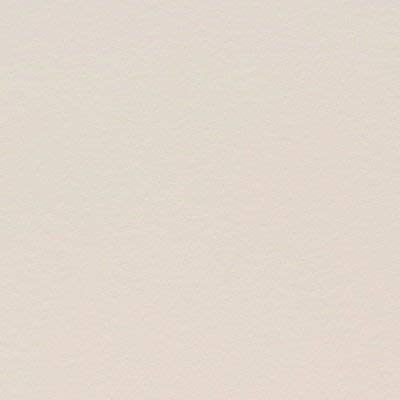 40 A4 Sheets of Coloured Card 250gsm - 300gsm Excellent for Cards, Scrapbook,Wedding Stationery (300gsm Ivory Smooth)