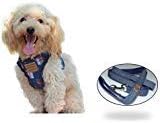 Pawya Dog Harness No Pull No Choke Dog Harness & Leash Set for Small Dog, Adjustable, with Pet Tag, Perfect for Training, Walking