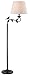 Kenroy Home 32613ORB Birdsong, Floor Lamp, Oil Rubbed Bronze & Gold Highlights