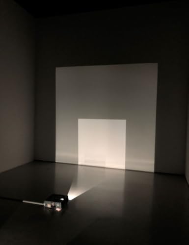 Image of 1001 Special Wall Paint for Projector Screen - White WT | High Gain Projector Screen Paint for Home Theater, Office & Classroom Wall Projection | 1L