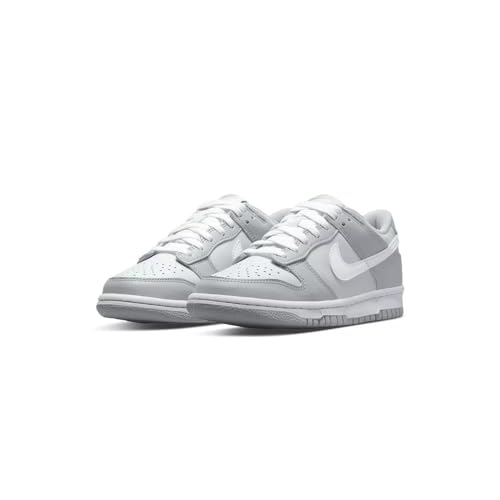 Nike Dunk Low (Big Kid)