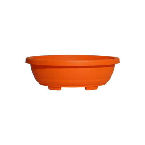 Image of Harshdeep Bonsai Pot - Oval - Indoor Outdoor Home Living Room Garden Decorative 16 Inch Planter Set of 2 (Orange)