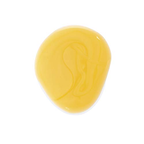 Klorane Nourishing Shampoo with Mango Butter - Image 5