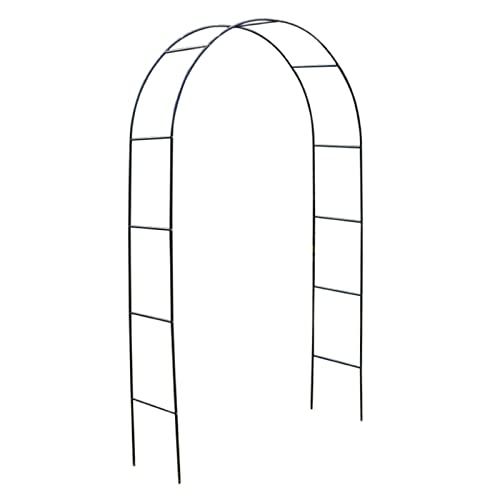 Support d'escalade en fer forgé pour rosiers de jardin structure noire