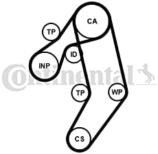 CONTITECH Timing Belt + Pulley Water Pump KIT compatible with Audi A6 Avant 4A C4 2.5L V8 L5