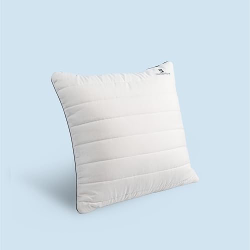 Image of SleepStore Granules Soft Cushion for Back & Spine Support, Pack of 1, 16x16 Inch | Multipurpose Adjustable Cushion for Office, Home & Travel | Shredluxe Fill - Blend of Memory Foam & Premium Fiber