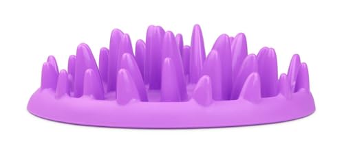 Interactive Gamelle d'alimentation Lente pour chats CATCH - Gamelle Anti Glouton Chat pour réduire...