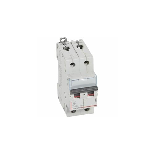 408008 Disjoncteur bipolaire 1A - 2P Courbe D - 6/10kA - À vis - Legrand DX3