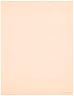 COKIN 170 × 130 mm 角 全面 カラー フィルター オレンジ 85 C X 031