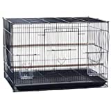 Metal 15" Bird Cage For Budgies, Finches, Love Birds, Cocktails, Conures, Cuttlefish Bone Holder With Cuttlefish Bone, 2 Cups, 1 Perch Stick L : 15" , B : 11", H:12 " - (Colors May Vary). (B08PKYL2G5) Amazon Price History, Amazon Price Tracker