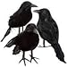 Black Feathered Small Halloween Crows - 3 Pc Black Birds