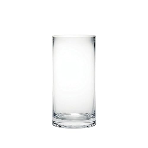 Image of 20cm Tall Clear Glass Cylinder Flower Vase