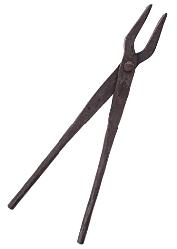 Lunghezza: circa 30 cm. Lunghezza del becco: circa 5,5 cm.