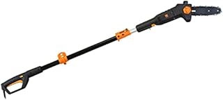 WEN 4019 6-Amp 8-Inch Electric Telescoping Pole Saw with 12-Foot Reach